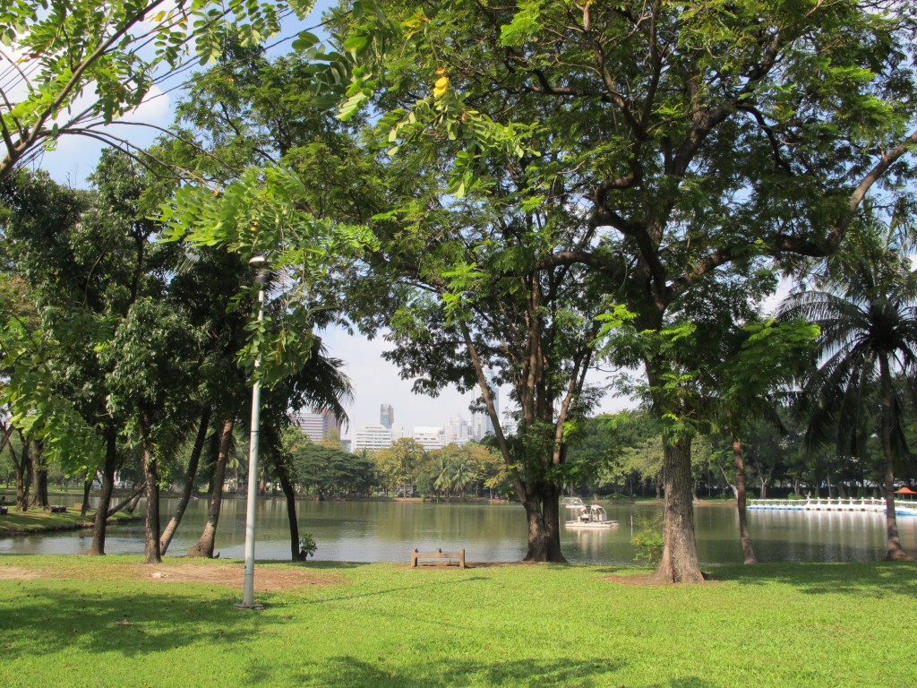     rare splash of greenery in the concrete jungle and an oasis of calm and relaxation