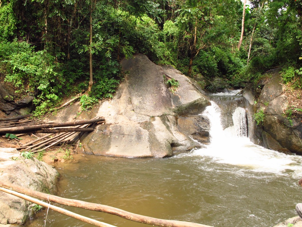 a place to cool off after a sweaty trek in the forest