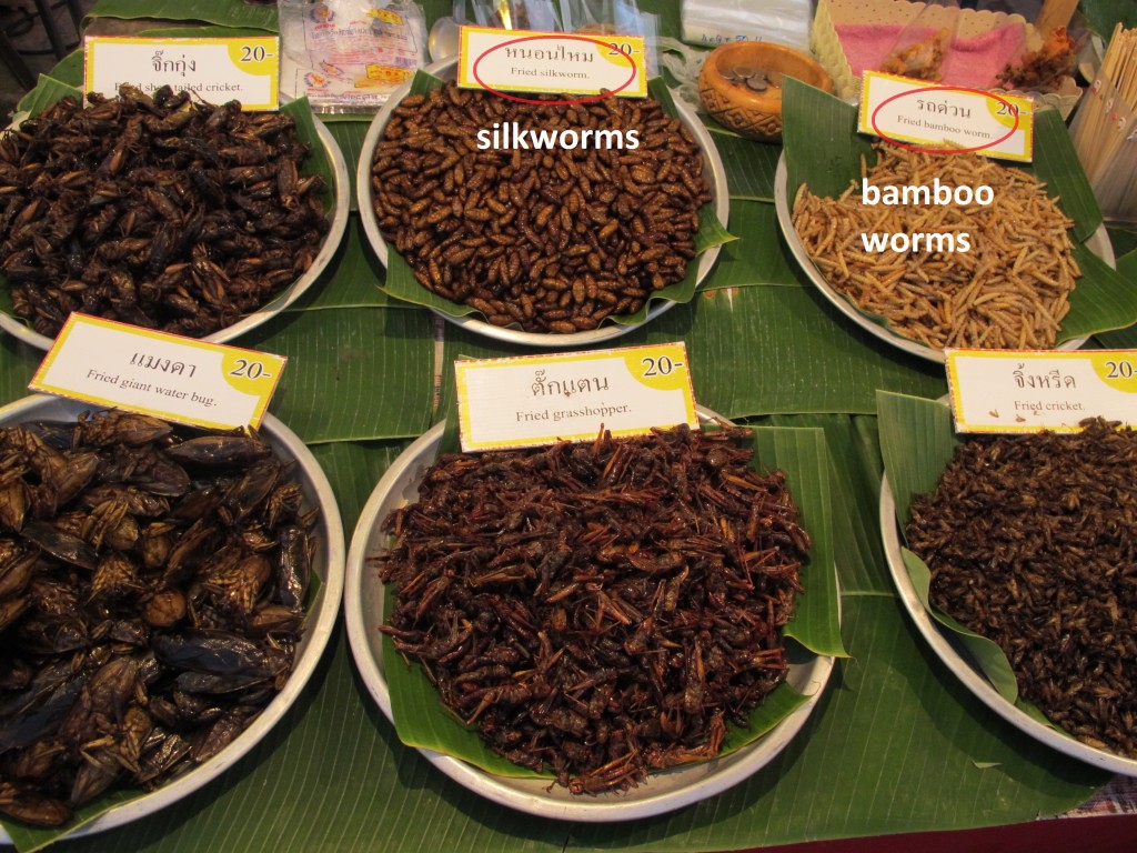 silkworms taste like salty sticks and bamboo worms taste like worms (Espen)